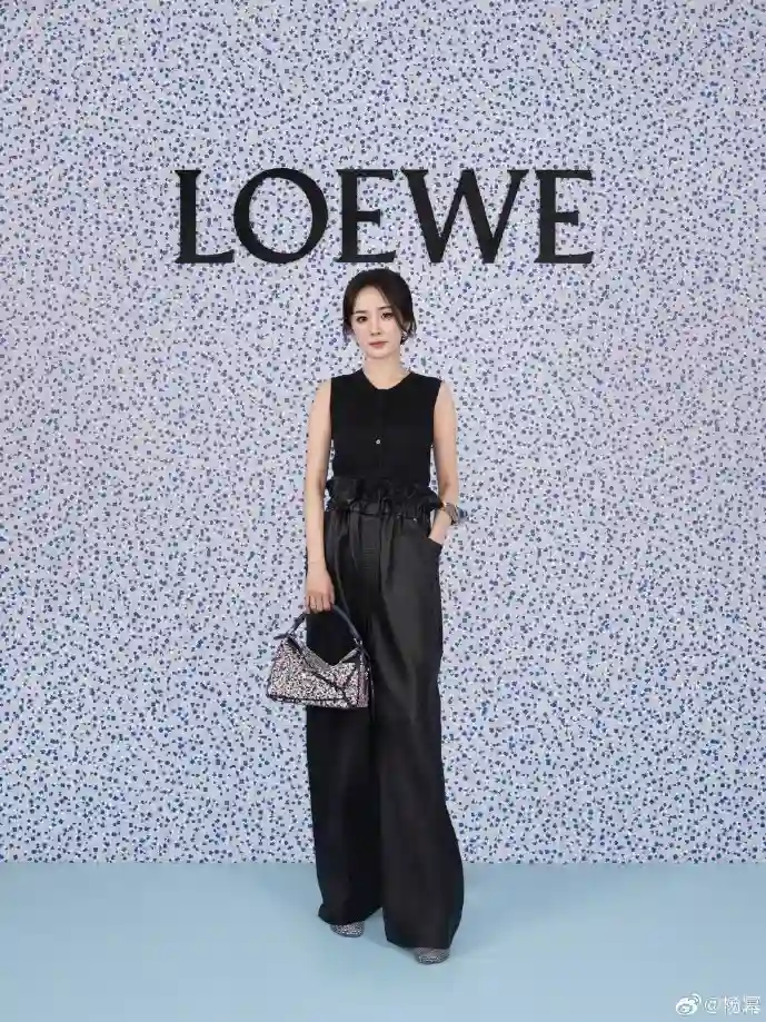 光速下载器Pro界面展示